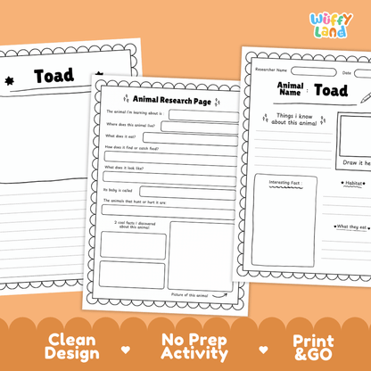 Toad Animal Research Page Worksheets