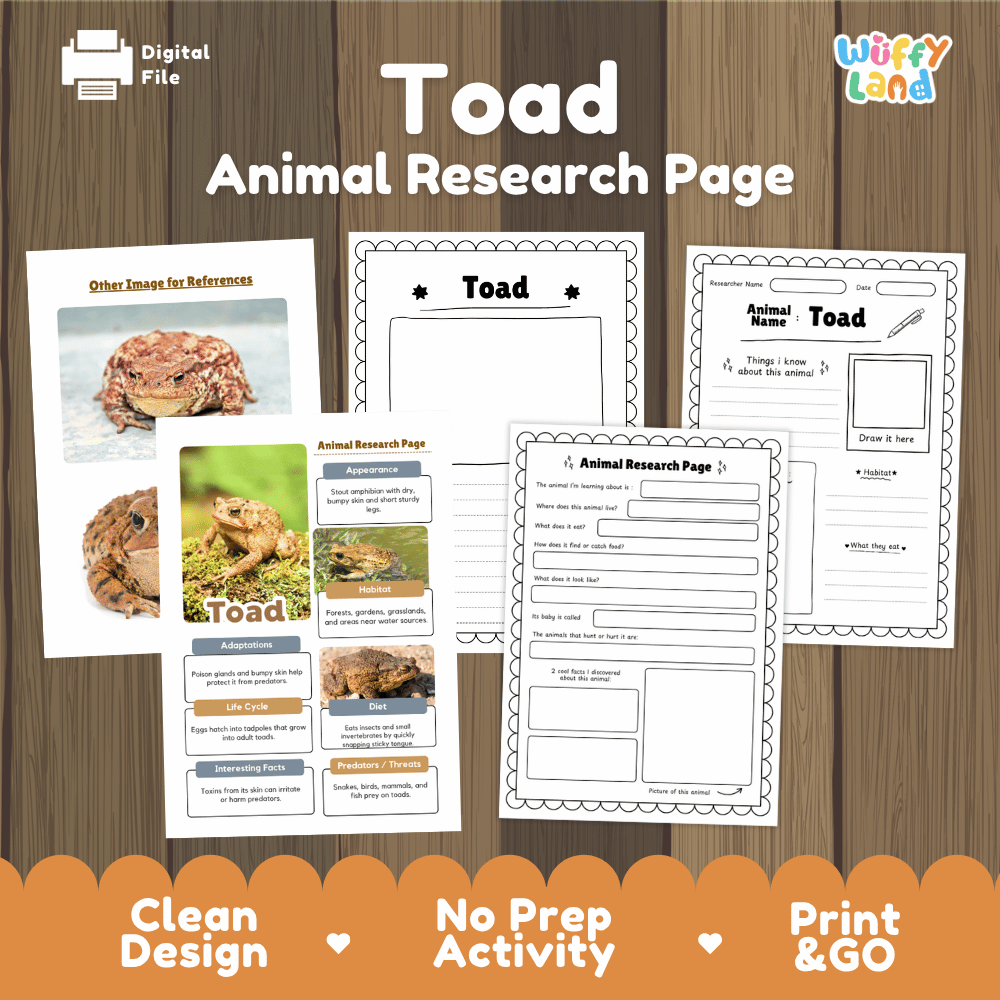 Toad Animal Research Page Worksheets