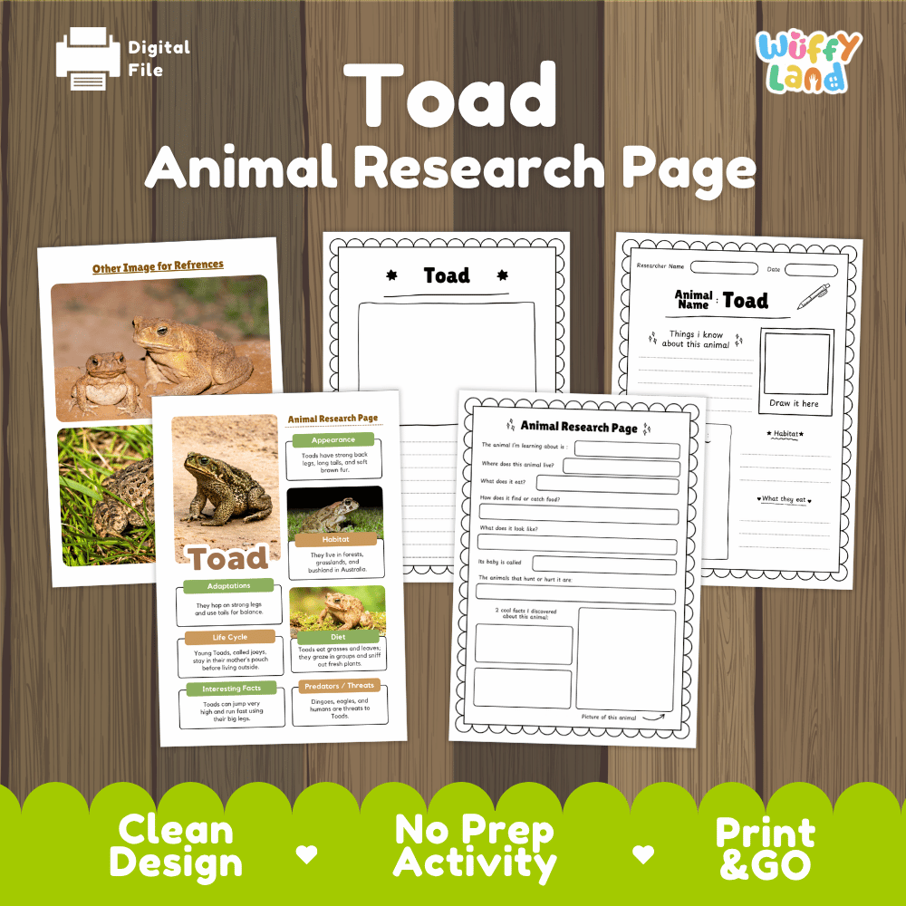Toad Animal Research Page Worksheets