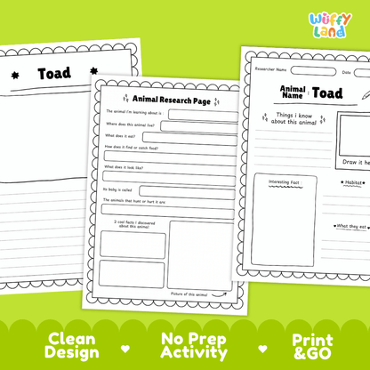 Toad Animal Research Page Worksheets
