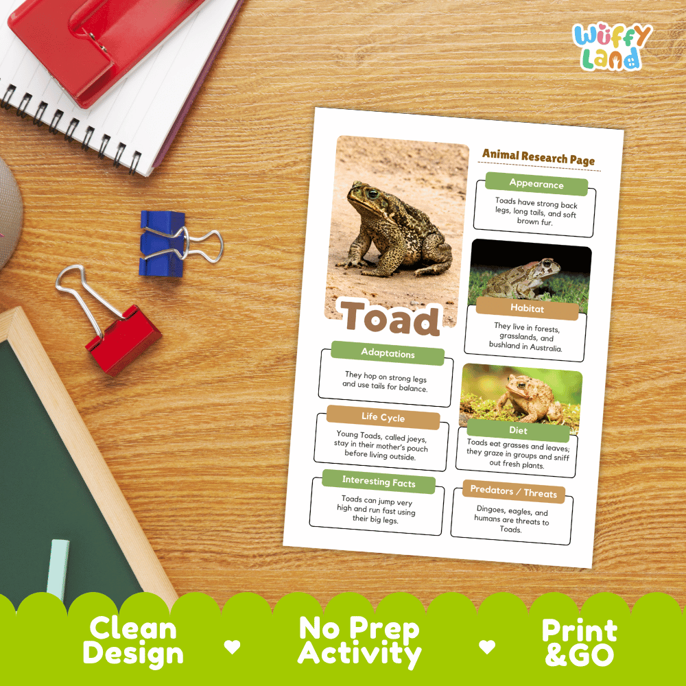 Toad Animal Research Page Worksheets