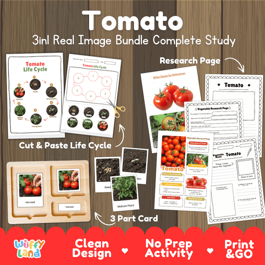 Tomato 3in1 real image bundle complete study printable featuring life cycle cut and paste worksheets, Montessori 3-part cards, and research pages