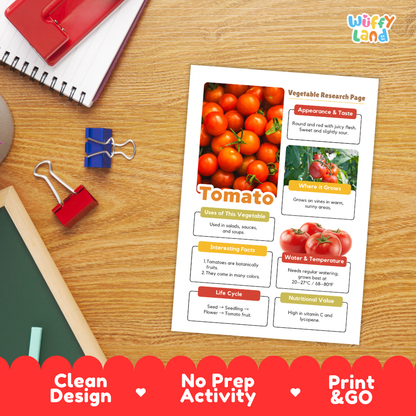 A printed educational activity sheet titled 'Tomato' with photos of fresh tomatoes, text boxes, and colorful headers, placed on a wooden desk with notebooks, binder clips, and a red notebook visible around it. The sheet includes a 'Wiffly Land' logo at the top right and a 'Clean Design No Prep Activity Print & Go' banner along the bottom.