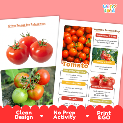 Two printed educational poster sheets about tomatoes from Wiffly Land, displayed on a pink background with promotional text at the bottom reading 'Clean Design', 'No Prep Activity', and 'Print & GO'. The sheets feature photos of red and green tomatoes, labeled sections on appearance, taste, growth, uses, facts, water/temperature, and life cycle.