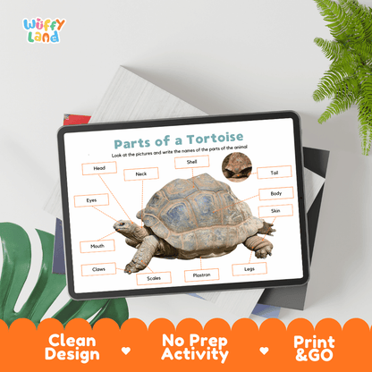 Hands-on tortoise anatomy cut and paste worksheet with printable word tags, callout pointer lines, and scissors graphic