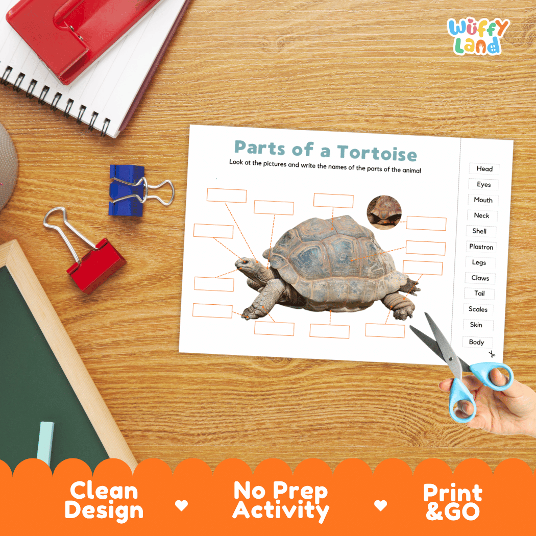 Differentiated tortoise body parts labeling worksheets featuring fill-in write-in boxes and vocabulary word bank