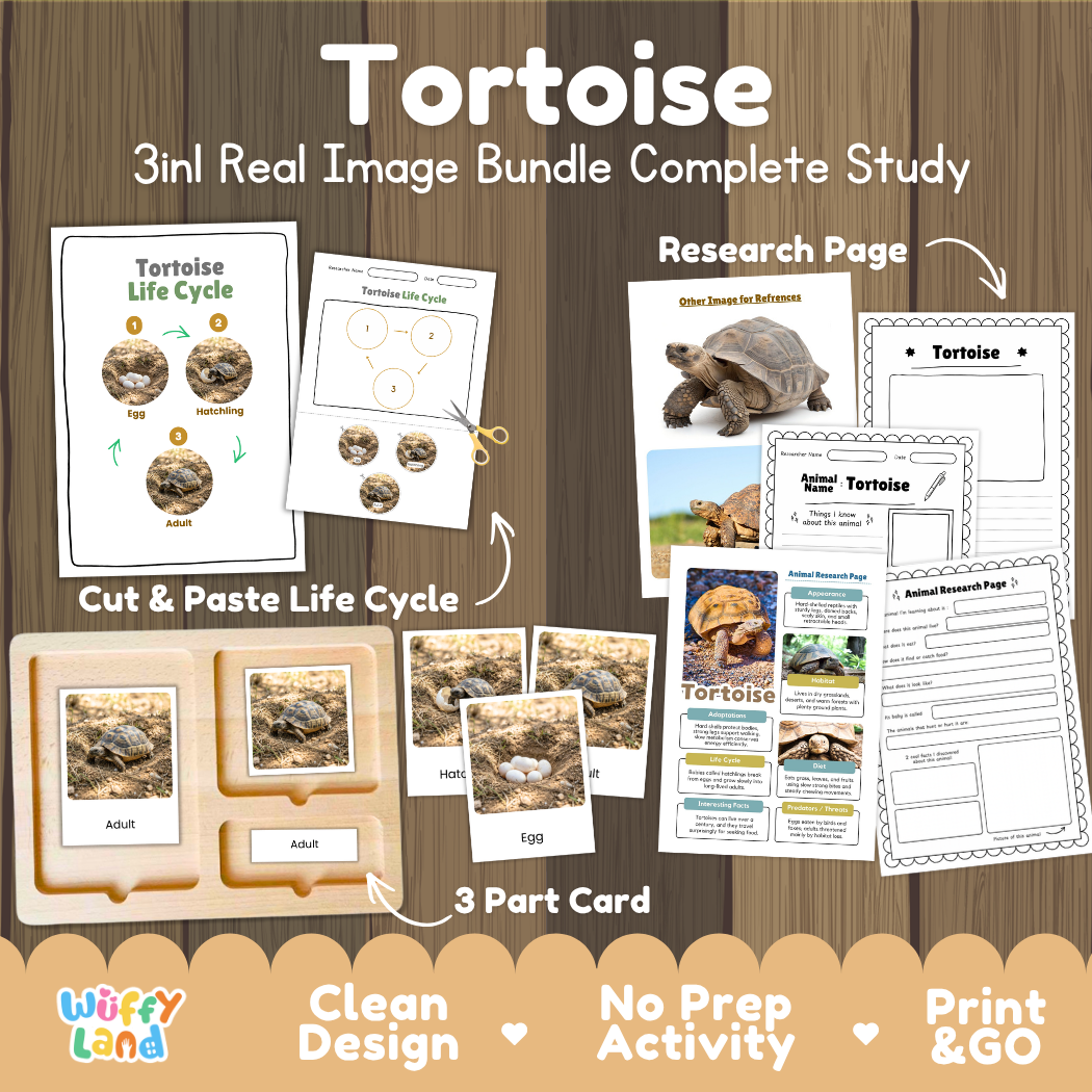 Tortoise 3-in-1 real image bundle complete study cover showing cut and paste life cycle, 3 part cards, and research pages