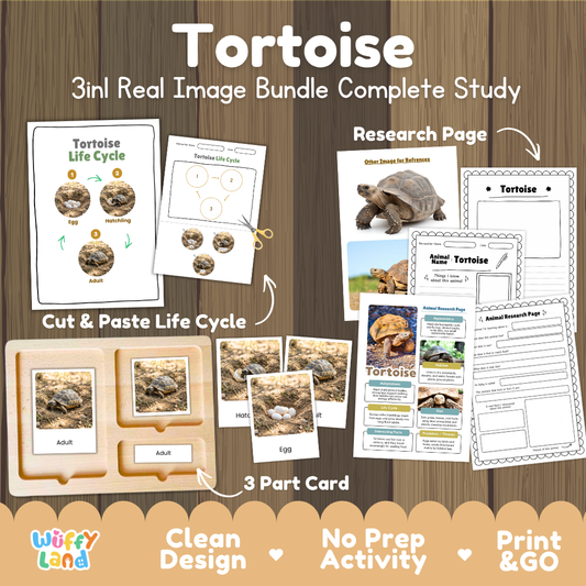 Tortoise 3-in-1 real image bundle complete study cover showing cut and paste life cycle, 3 part cards, and research pages
