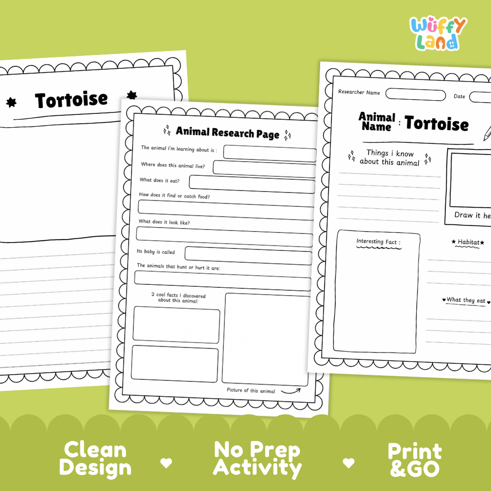 Tortoise Animal Research Page Printable Worksheets for Early Elementary