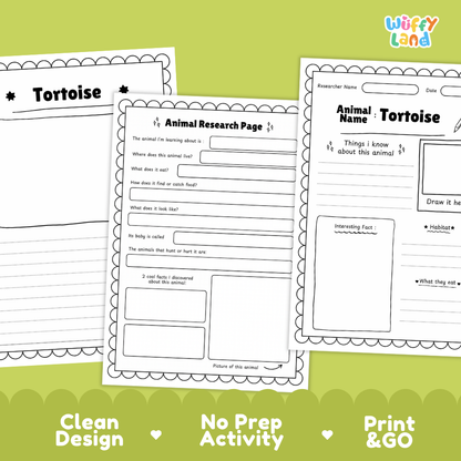Tortoise Animal Research Page Printable Worksheets for Early Elementary