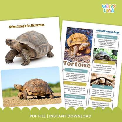 Tortoise Animal Research Page Printable Worksheets for Early Elementary