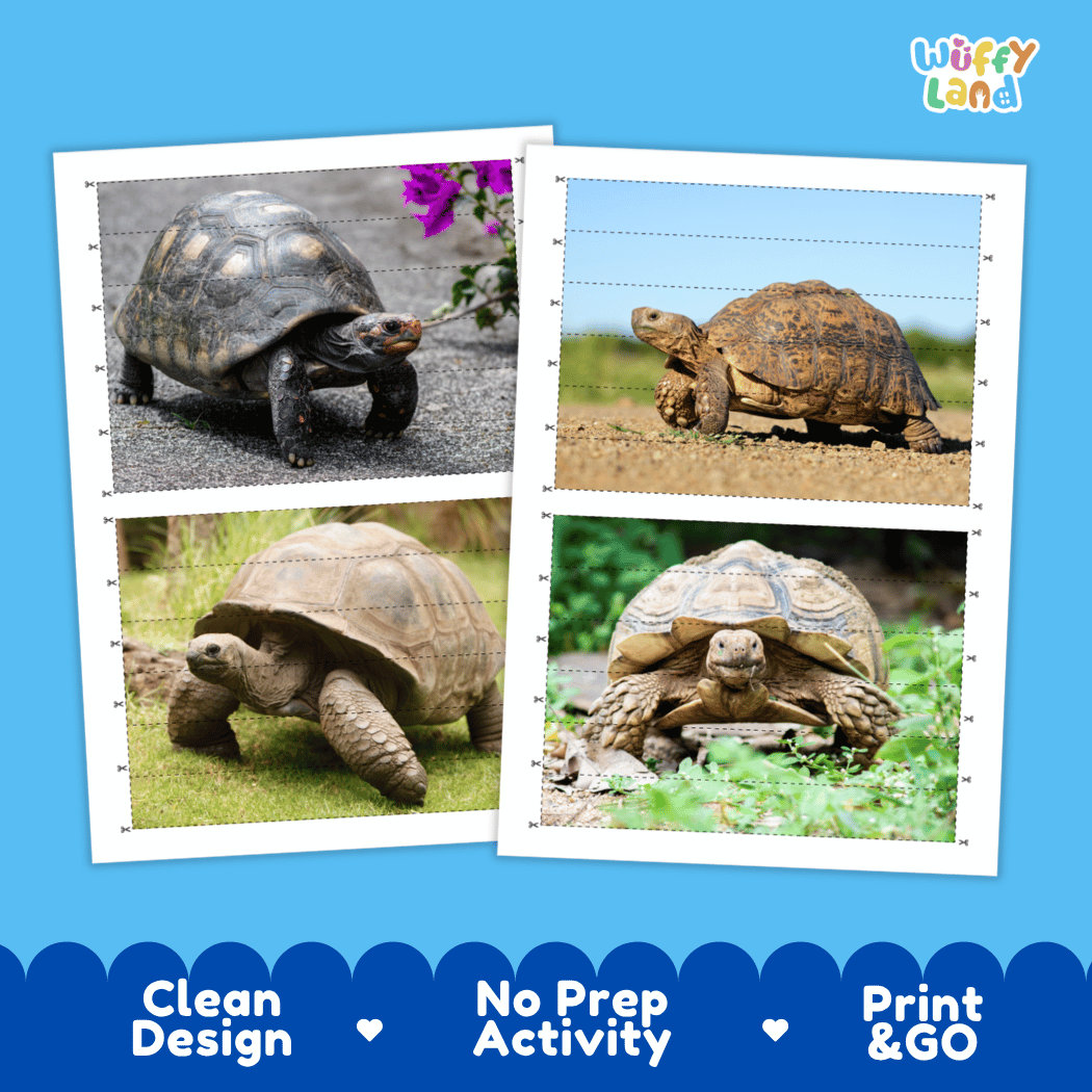 Tortoise Cut and Match Activity Worksheets | Animal Puzzle Printables