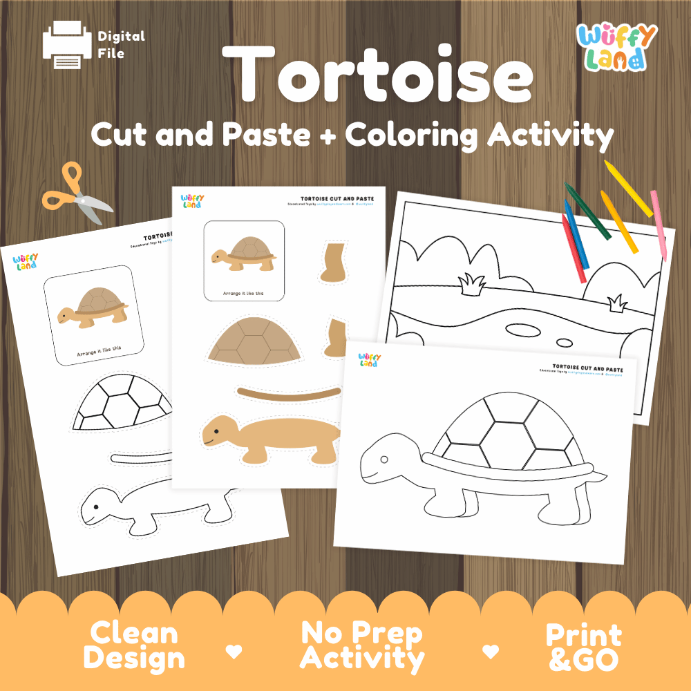 Tortoise Cut and Paste Craft and Coloring Activity Worksheets