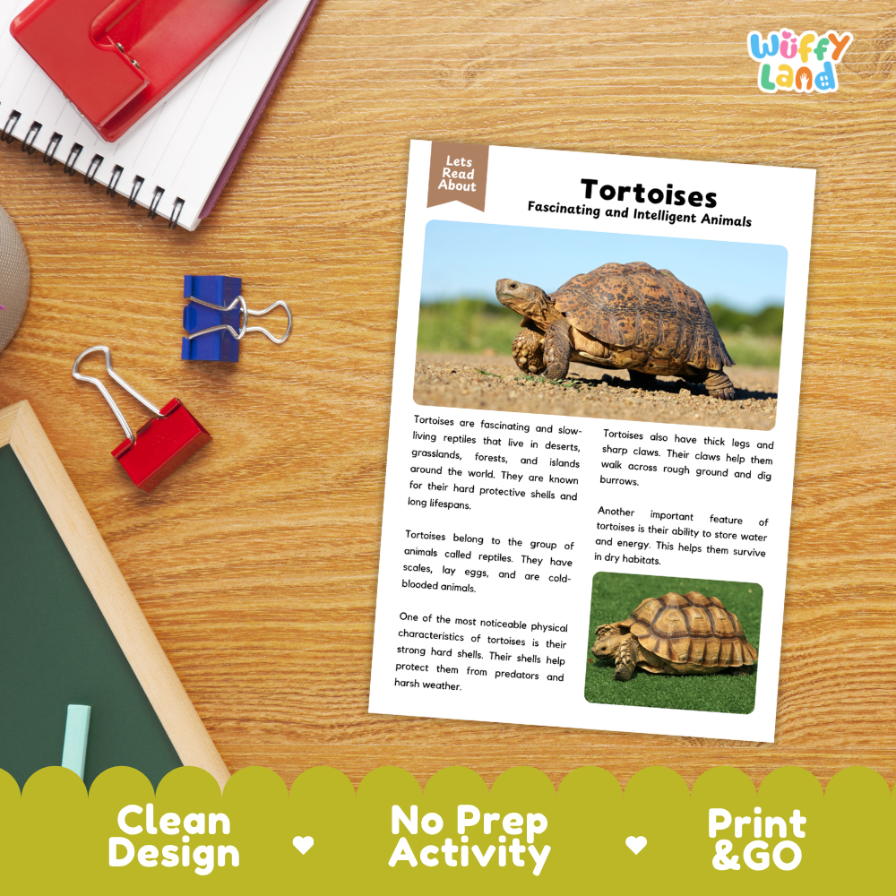 Tortoise Reading Passage and Comprehension Questions Worksheets