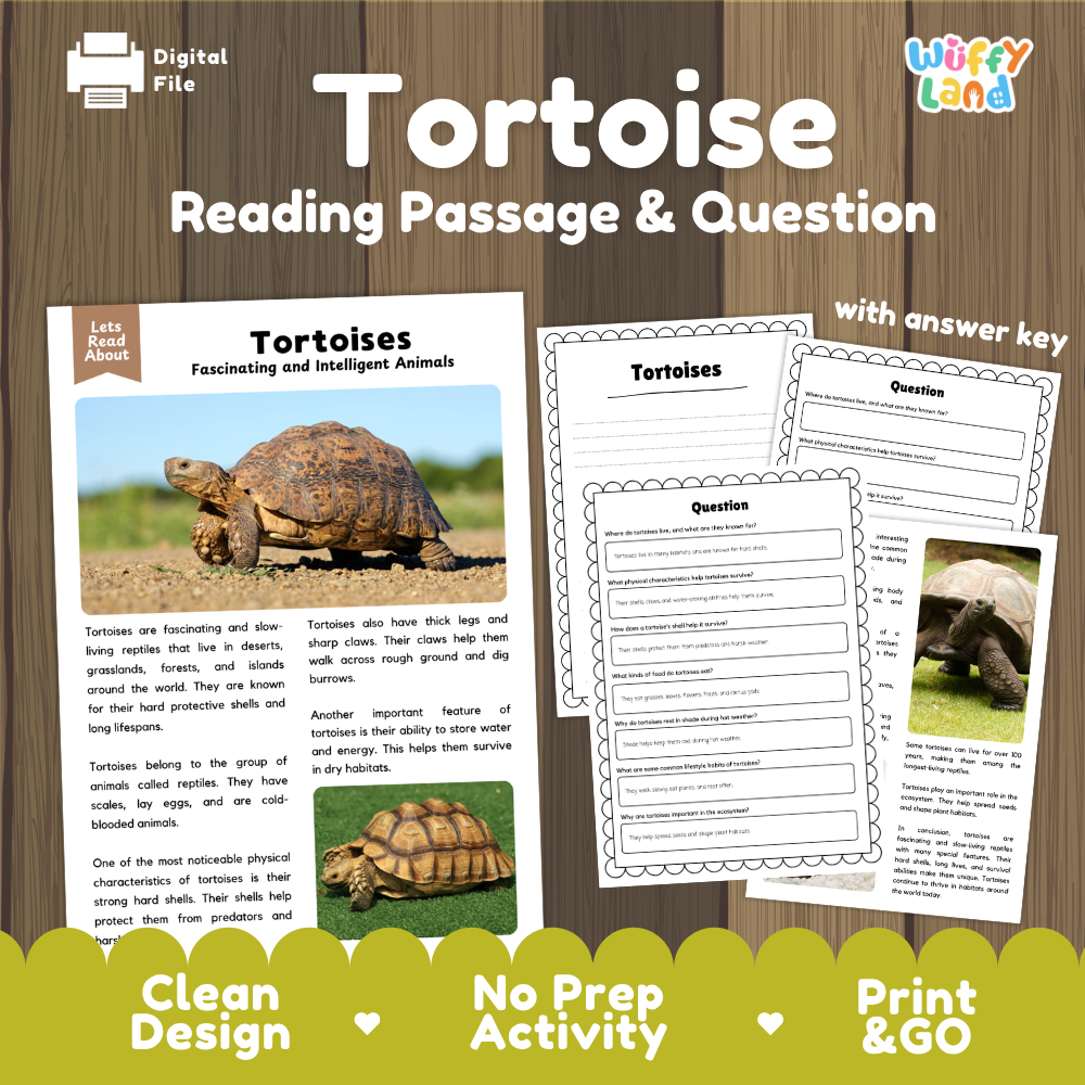 Tortoise Reading Passage and Comprehension Questions Worksheets
