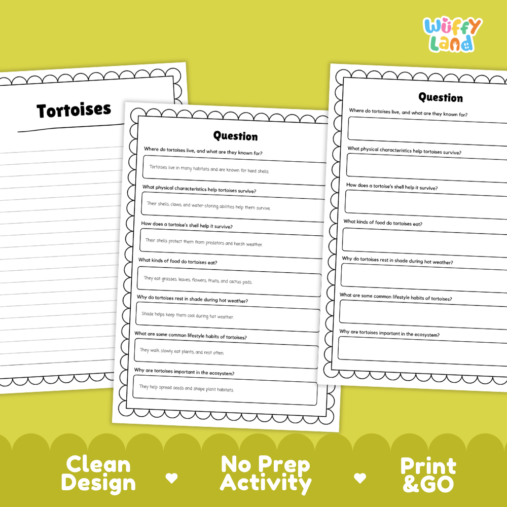 Tortoise Reading Passage and Comprehension Questions Worksheets