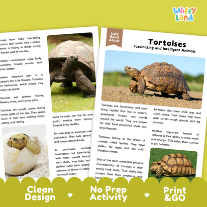 Tortoise Reading Passage and Comprehension Questions Worksheets