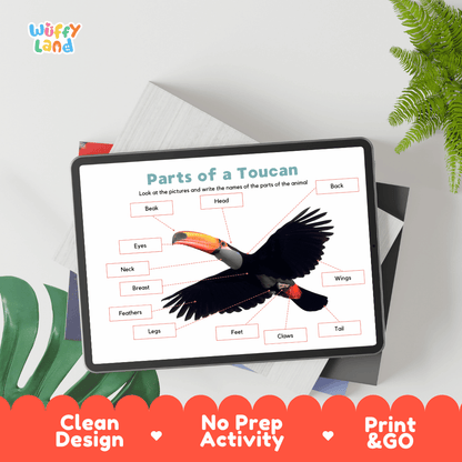 Hands-on toucan anatomy cut and paste worksheet with printable word tags, callout pointer lines, and scissors graphic