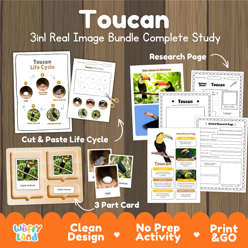 Toucan 3-in-1 real image bundle complete study cover showing cut and paste life cycle, 3 part cards, and research pages