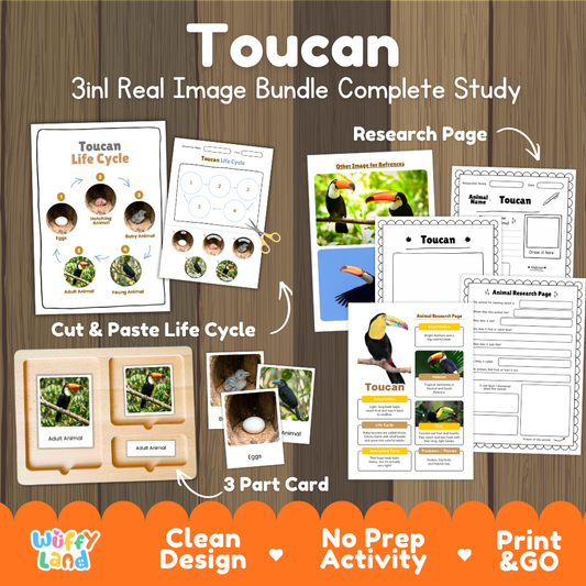 Toucan 3-in-1 real image bundle complete study cover showing cut and paste life cycle, 3 part cards, and research pages