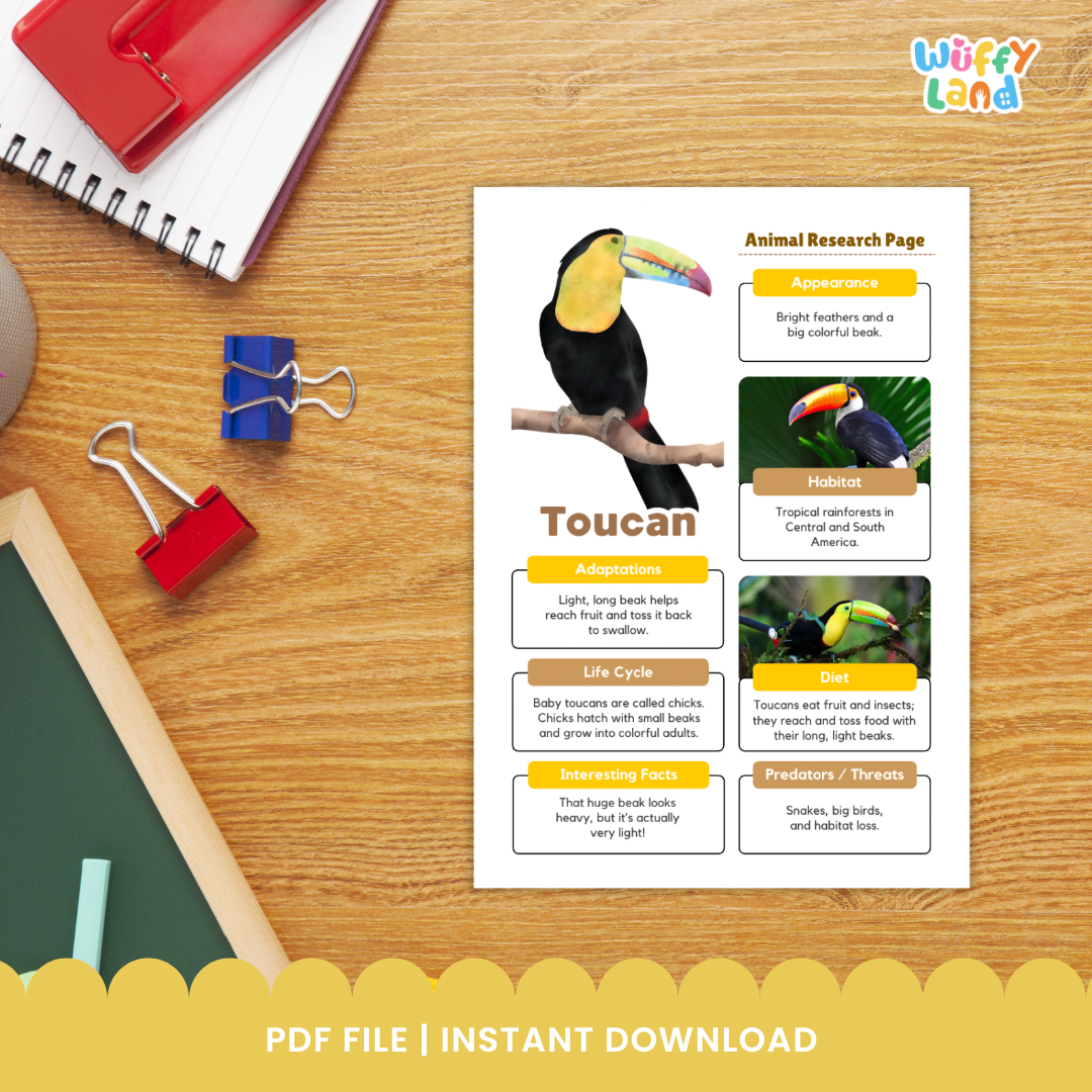 A "Toucan Animal Research Project" educational worksheet set featuring printable pages for students to record facts about toucans. Includes templates for drawing, note-taking, and writing about the bird’s appearance, habitat, diet, life cycle, and adaptations. The set also contains colorful reference images of toucans to support classroom or homeschool science lessons.
