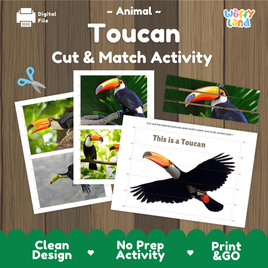 Toucan Cut and Match Activity Worksheets | Bird Animal Puzzle Printables