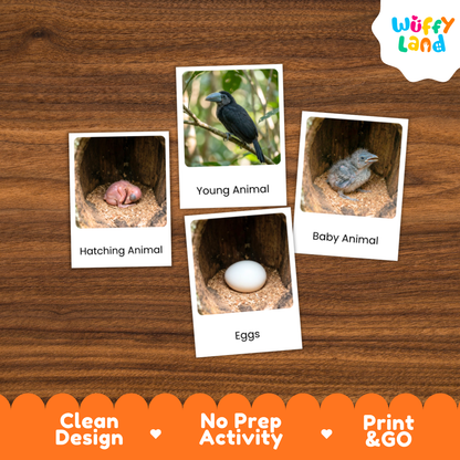 A children's activity card set from Wuffy Land featuring animal and egg identification cards on a wooden background. The set includes cards labeled 'Hatching Animal', 'Young Animal', 'Baby Animal', and 'Eggs'.