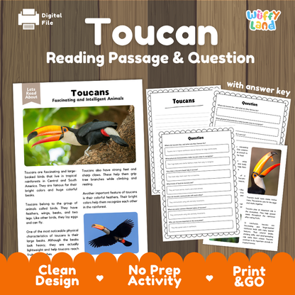 Toucans Reading Passage and Comprehension Questions Worksheets with Answer Key