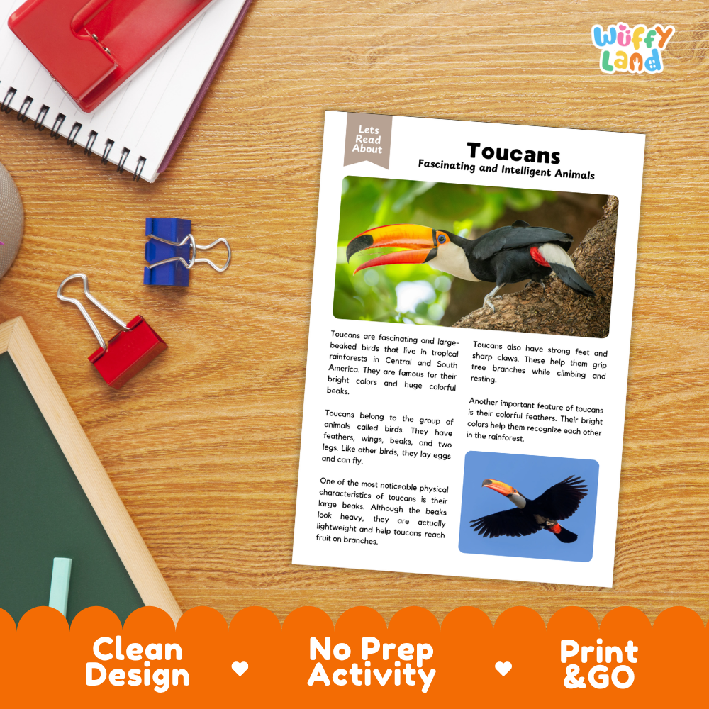 An educational activity sheet about toucans laid on a wooden desk with school supplies. The sheet has a white background with text, a toucan photo, and a blue toucan illustration.