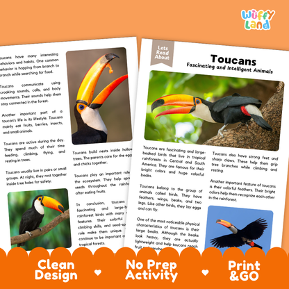 Toucans Reading Passage and Comprehension Questions Worksheets with Answer Key