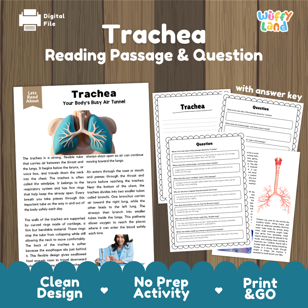 Trachea reading comprehension passage and questions printable activity pack with answer key for elementary students