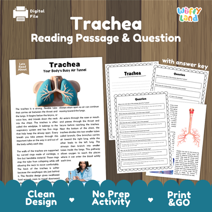 Trachea reading comprehension passage and questions printable activity pack with answer key for elementary students