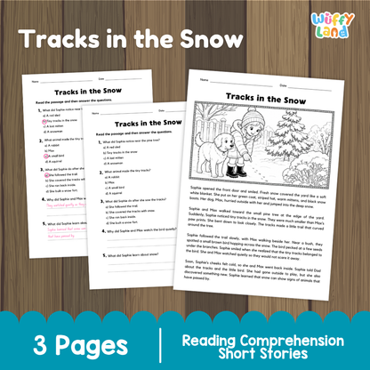 Tracks in the Snow Reading Comprehension Passage and Questions Worksheets