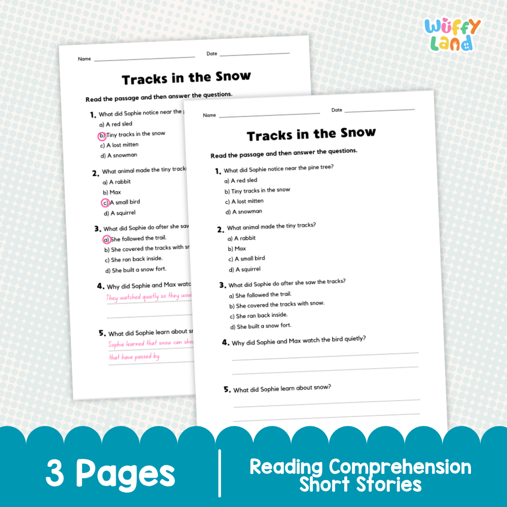 Tracks in the Snow Reading Comprehension Passage and Questions Worksheets