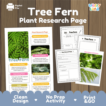 Tree Fern Plant Research Pages and Worksheets