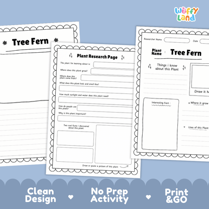 Tree Fern Plant Research Pages and Worksheets