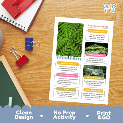 Tree Fern Plant Research Pages and Worksheets