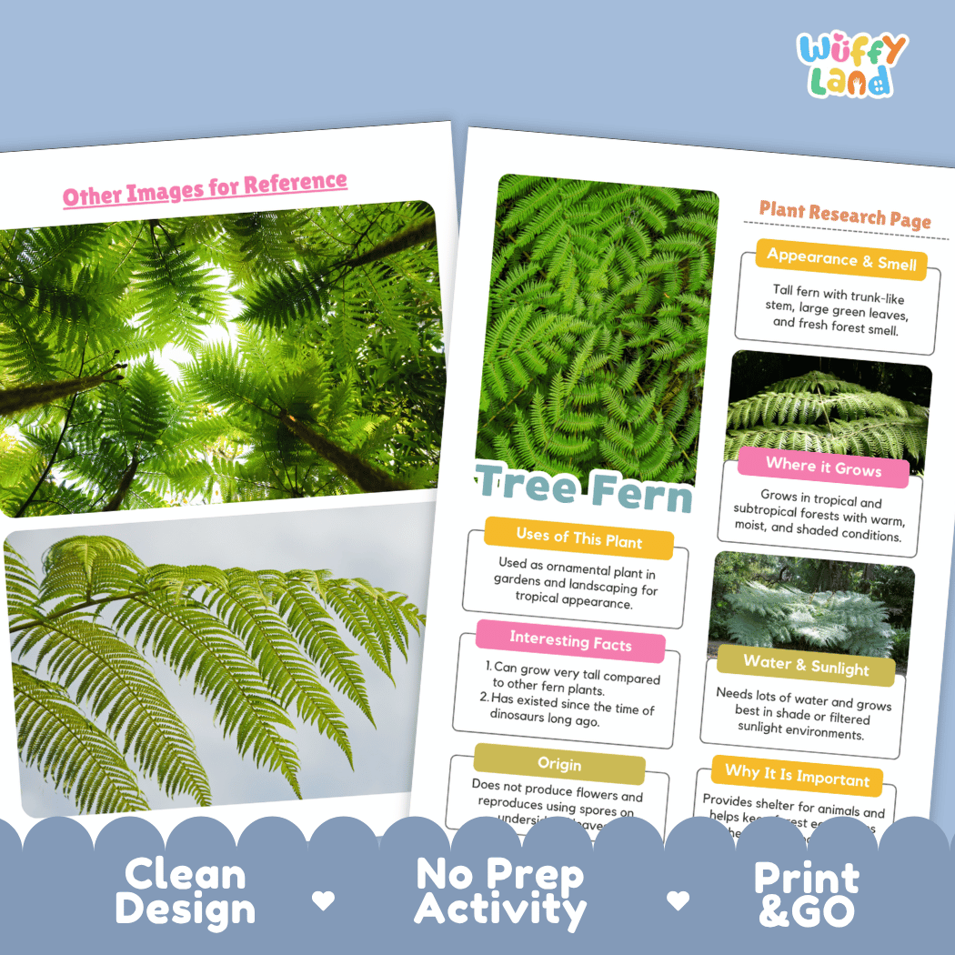Tree Fern Plant Research Pages and Worksheets