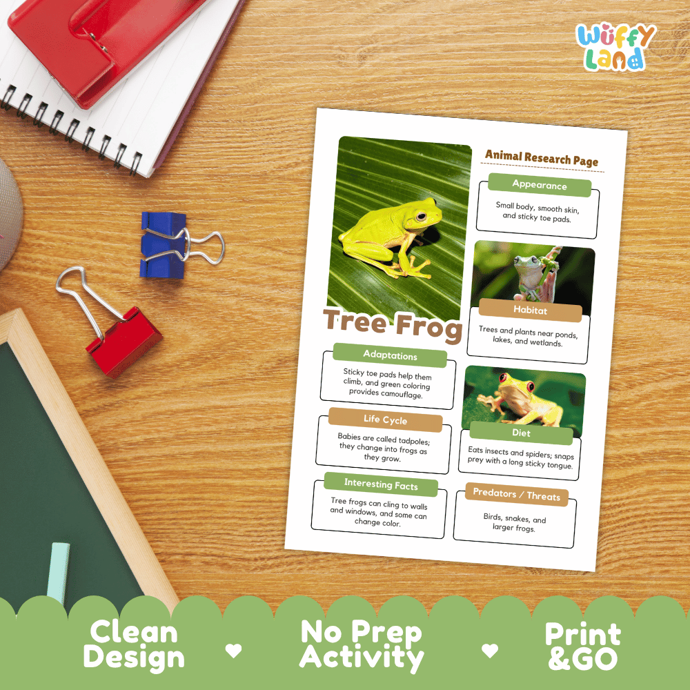 Tree Frog Animal Research Page Worksheets