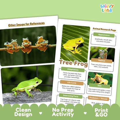 Tree Frog Animal Research Page Worksheets
