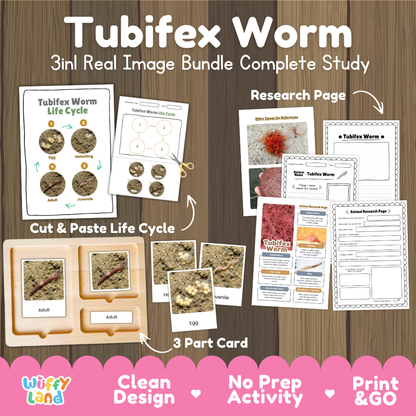 Tubifex worm 3-in-1 real image bundle complete study cover showing cut and paste life cycle, 3 part cards, and research pages