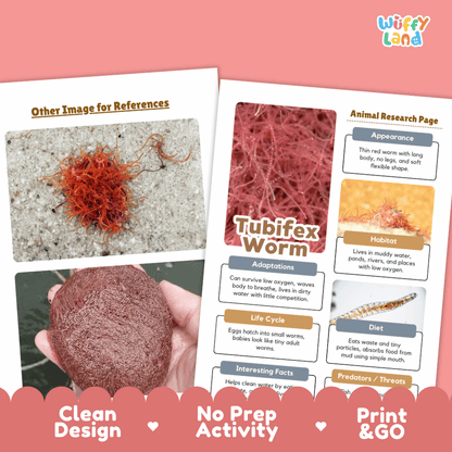 Tubifex Worm Animal Research Pages and Worksheets