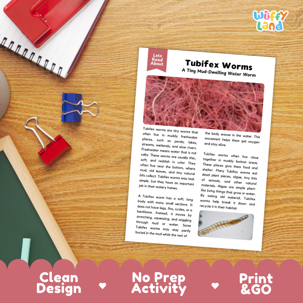 Tubifex Worm Reading Passage and Comprehension Questions Worksheets with Answer Key