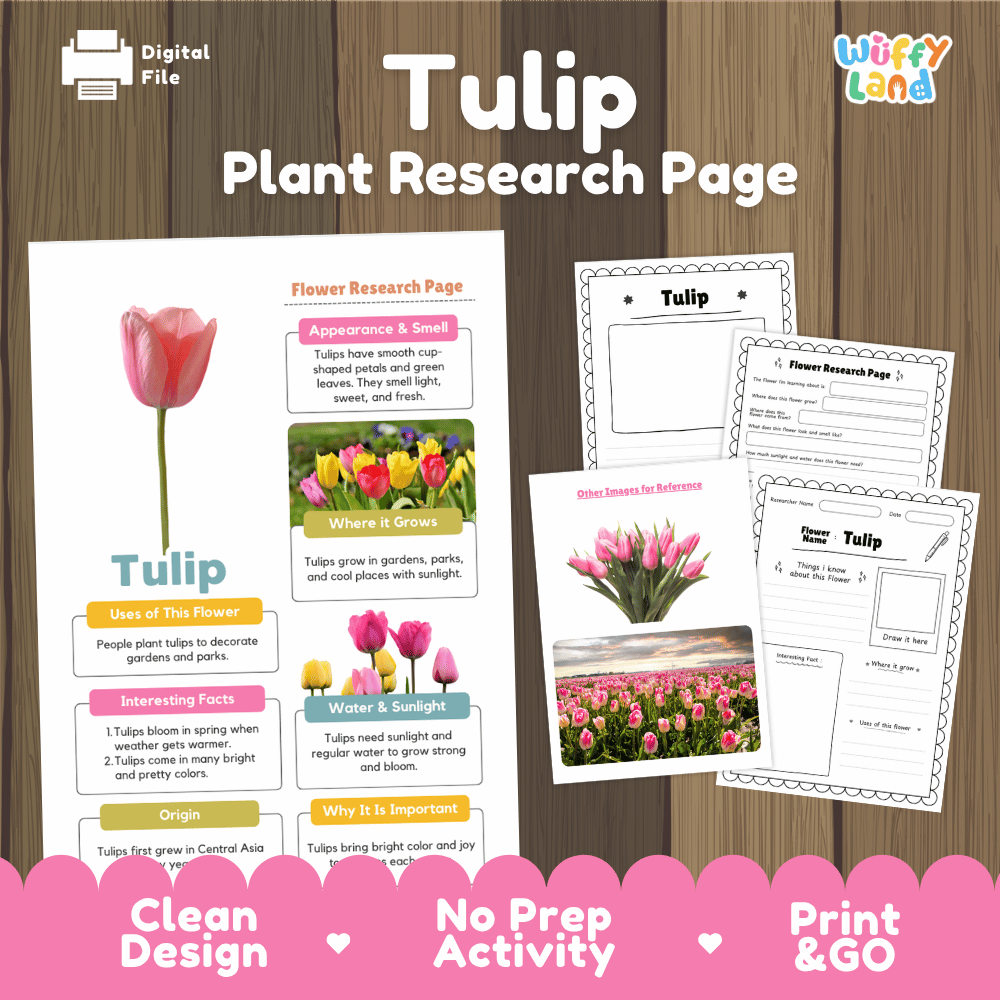 Tulip Plant Research Page and Worksheets Print and Go Activity