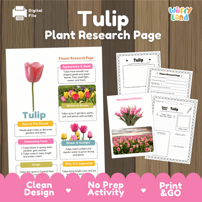 Tulip Plant Research Page and Worksheets Print and Go Activity