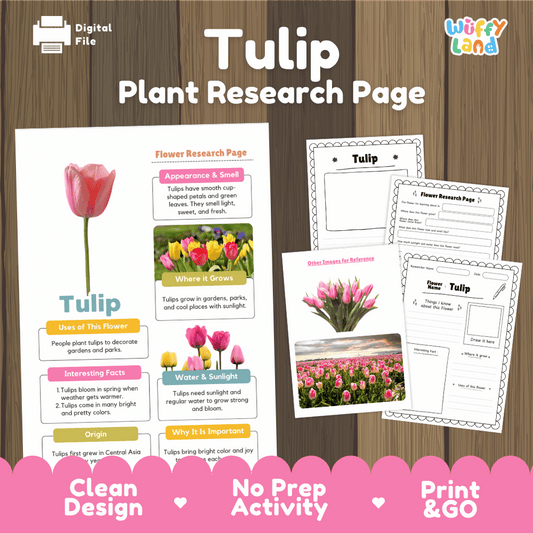Student flower research page writing worksheets with real blooming pink tulip bouquet and field photos, lined note-taking prompts, and drawing frames