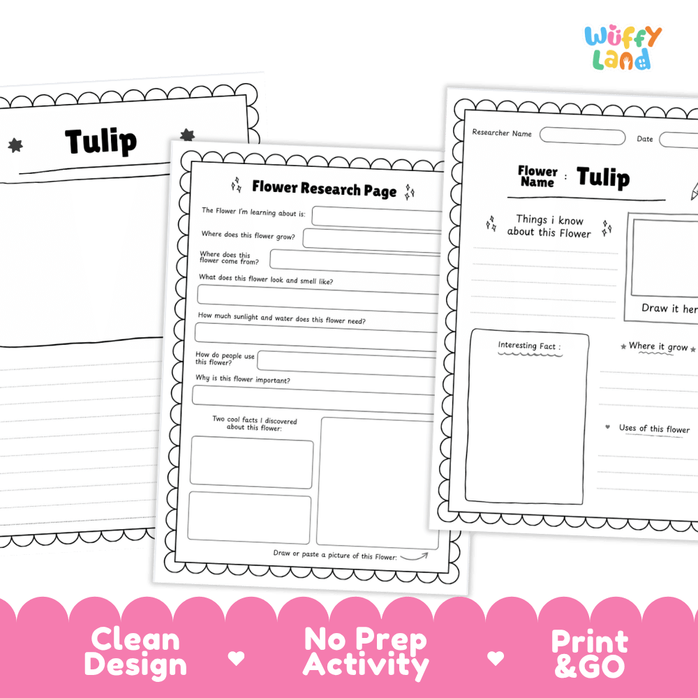 Tulip Plant Research Page and Worksheets Print and Go Activity