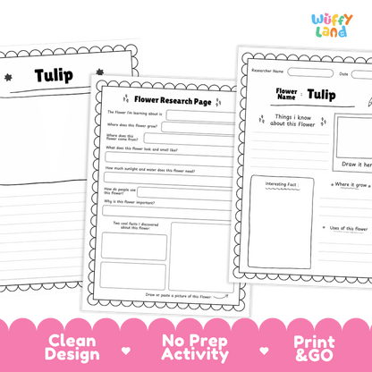 Tulip Plant Research Page and Worksheets Print and Go Activity