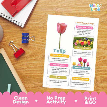 Tulip Plant Research Page and Worksheets Print and Go Activity