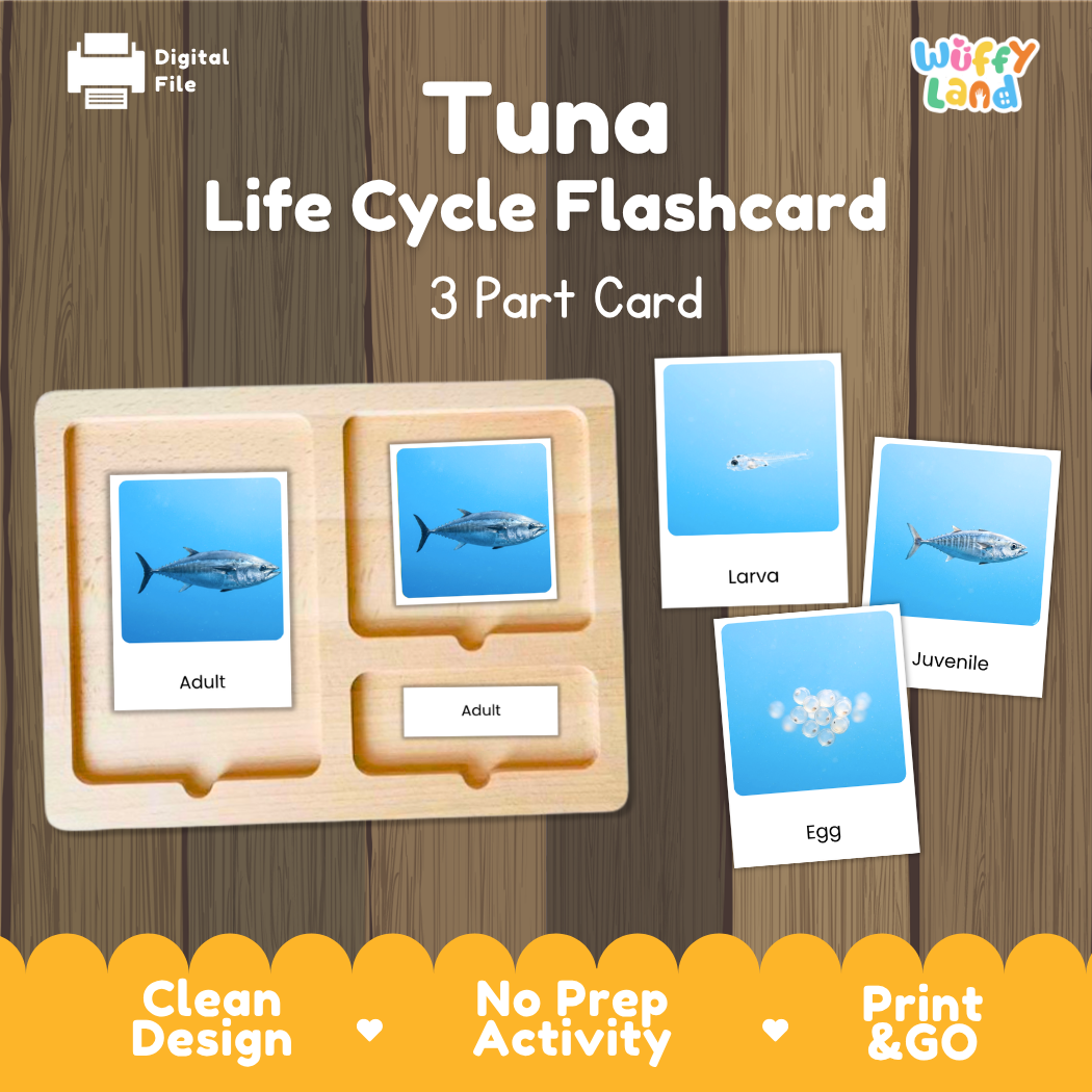 Tuna Life Cycle Flashcards 3 Part Cards Montessori Science Printable